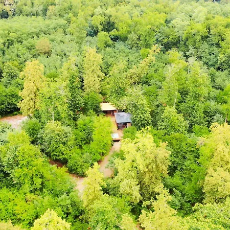 אכסניה Ecolodge So Wood 33 *